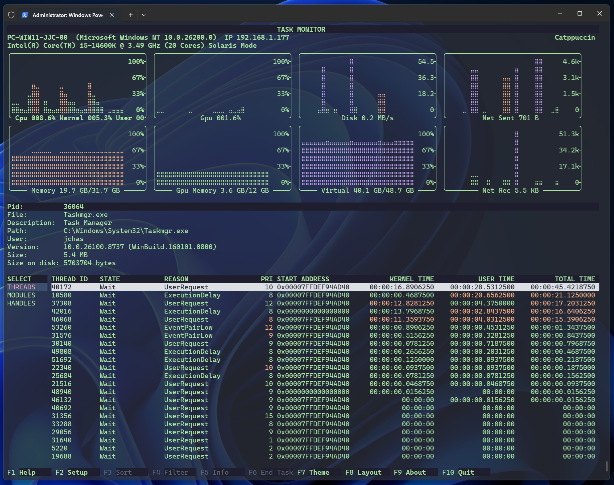 Task Monitor terminal application showing process information